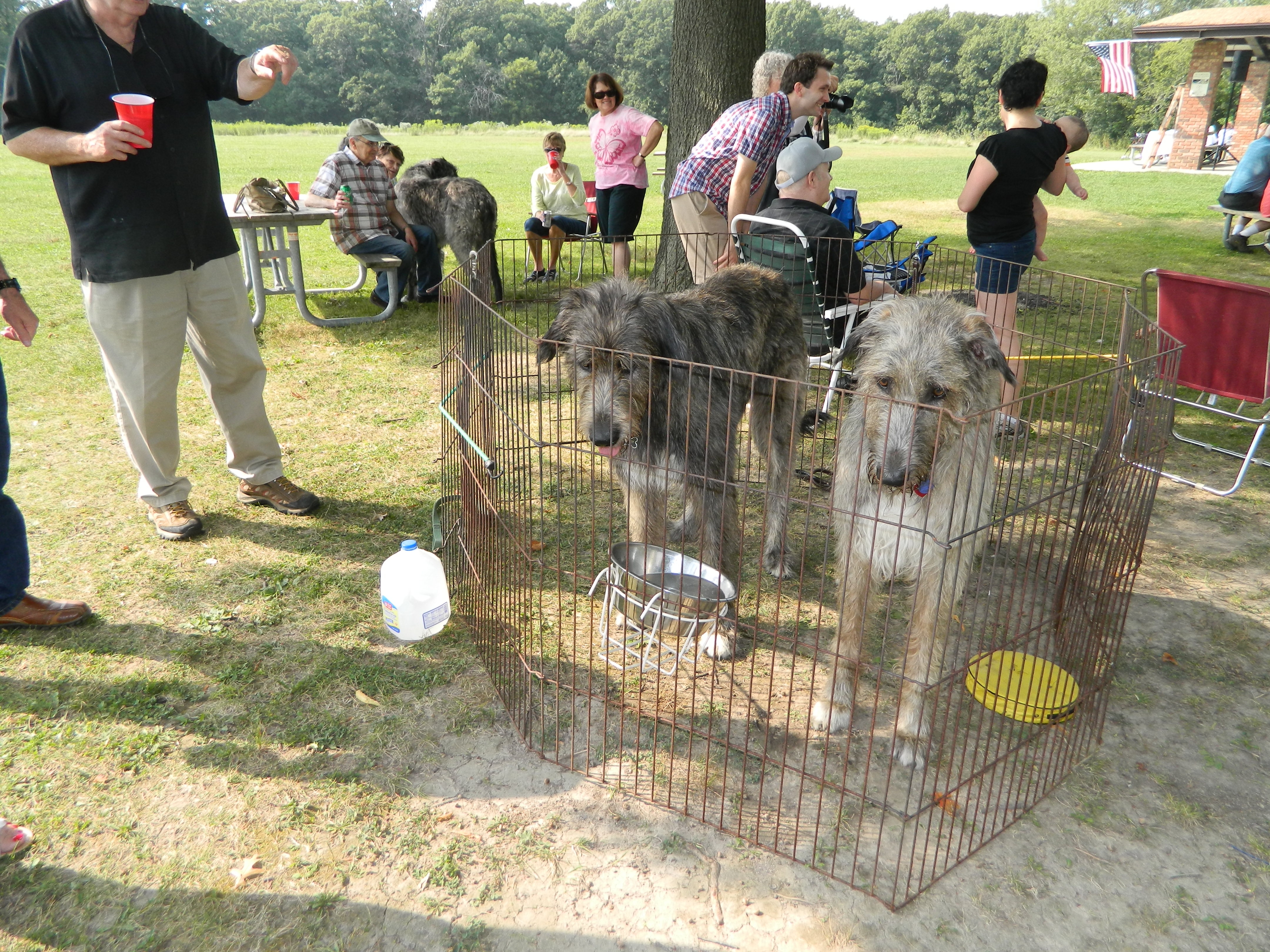 IAA-Picnic-2015-009
