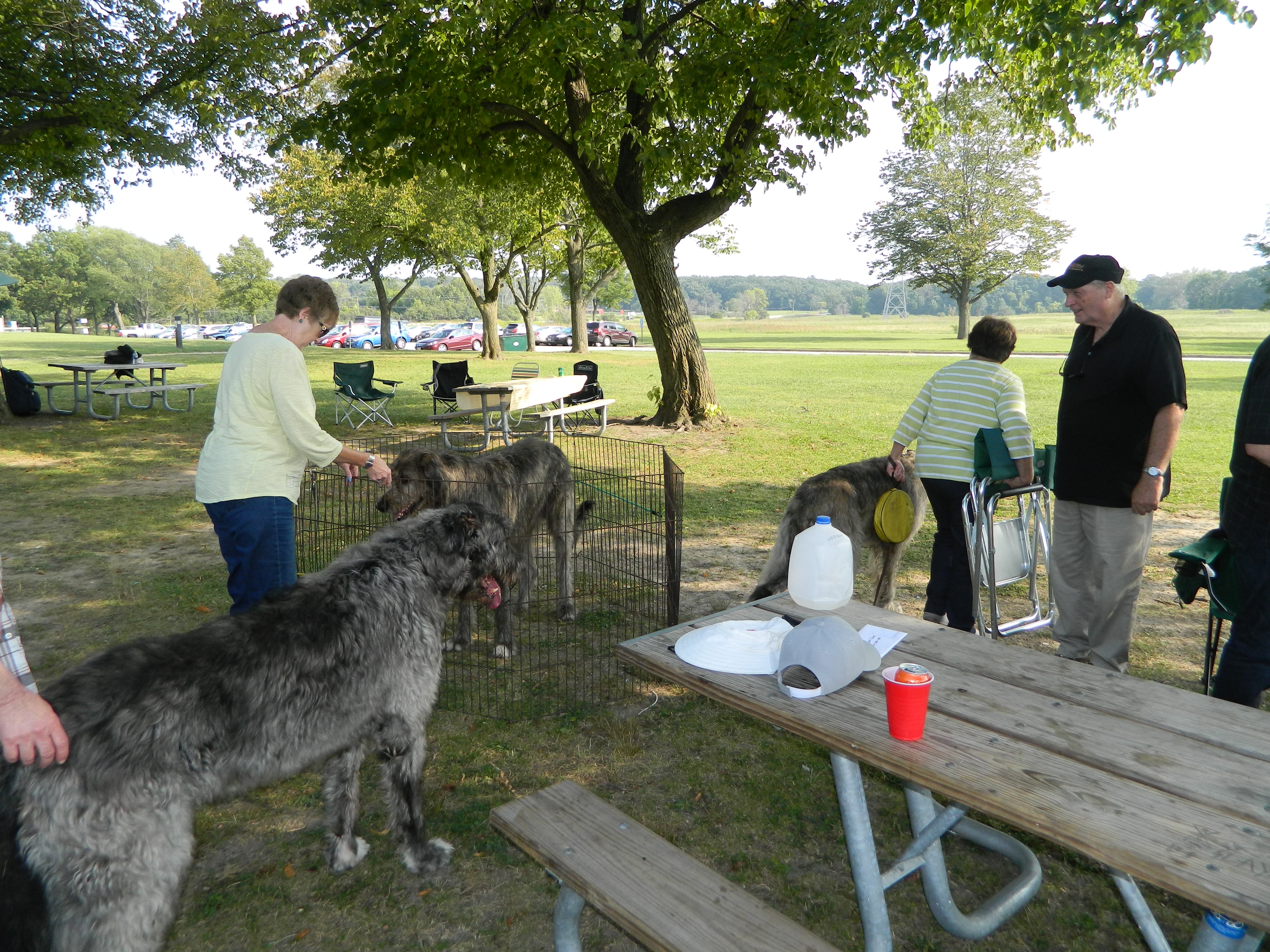 IAA-Picnic-2015-021