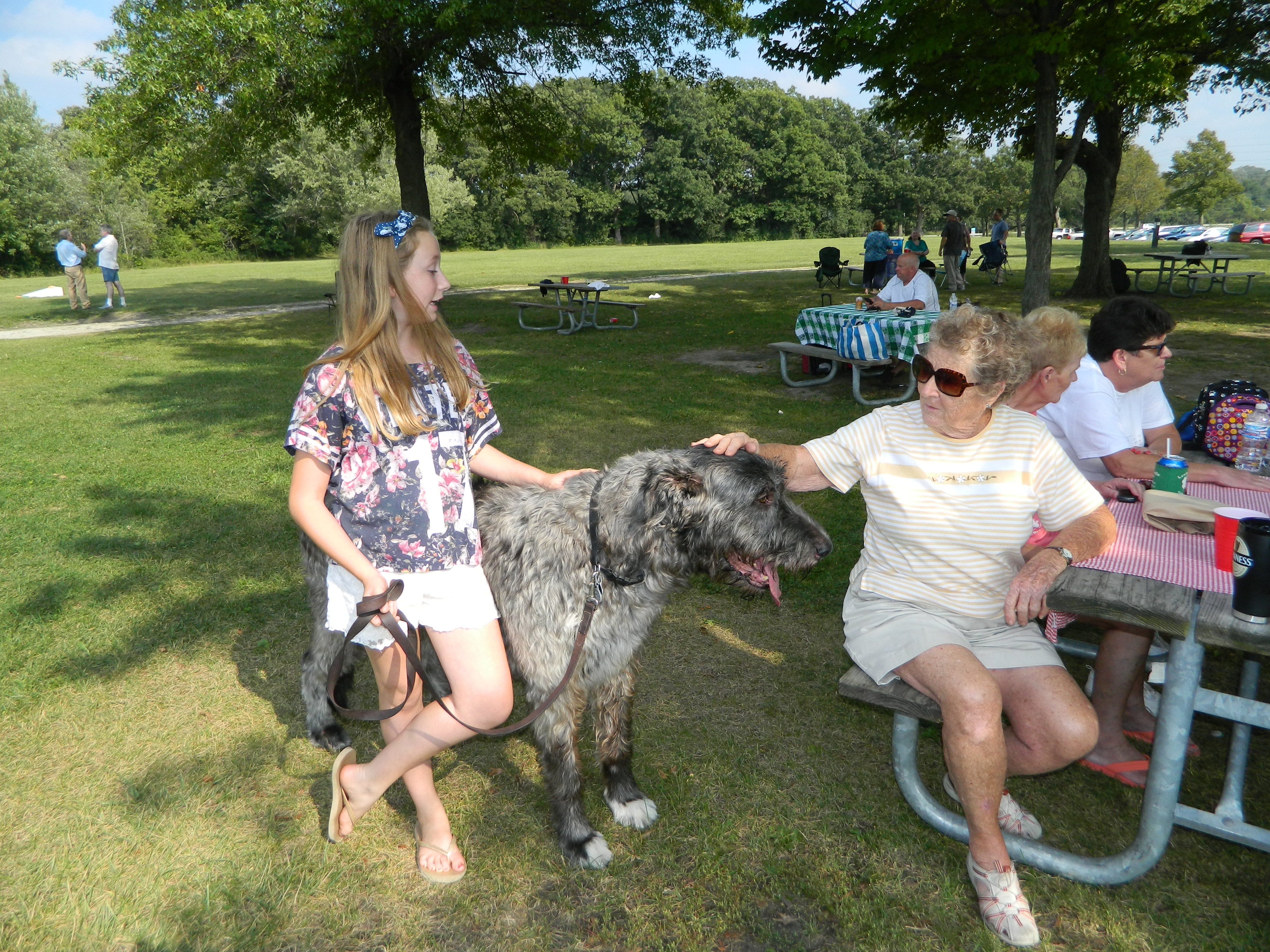 IAA-Picnic-2015-048