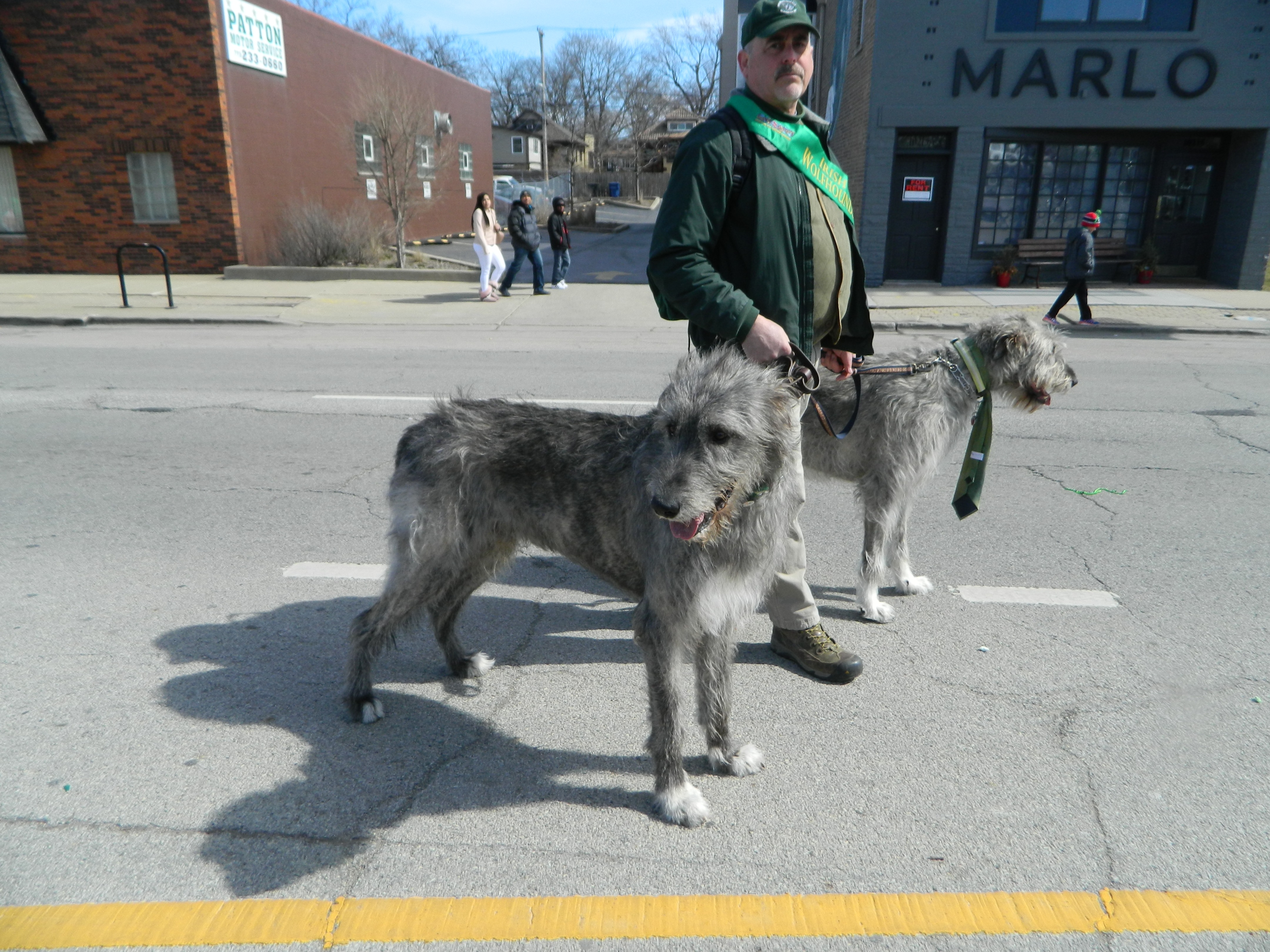 IAA-Pre-Parade-2108-044