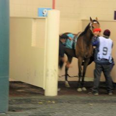 derby-day-2012-013