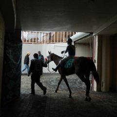 derby-day-2012-015