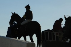 Derby Day 2014