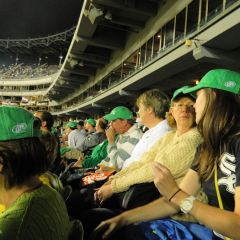 iaa-sox12-015