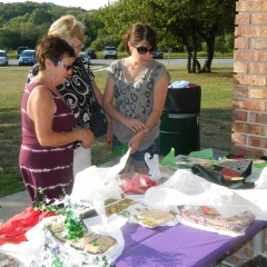 picnic-sox-2013-034